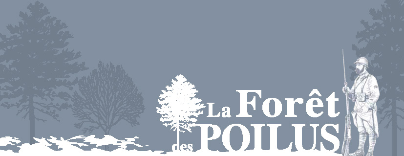 Image d'illustration de la page Forêt des Poilus
