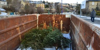 Image d'illustration de Un lieu de collecte pour votre sapin de Noël