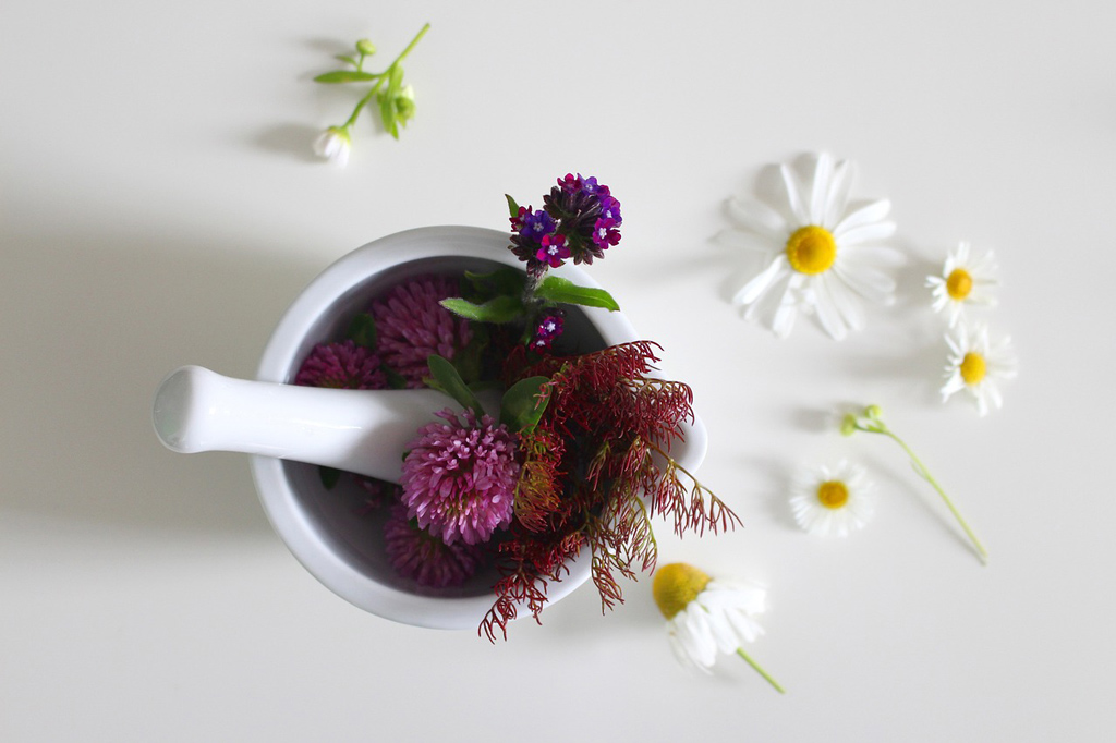 Image d'illustration de ATELIER « LES POTIONS DE LA SORCIÈRE »