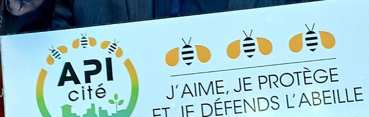 Image d'illustration de la page Apiculture : la ville obtient le label APICité « 3 abeilles »