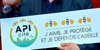 Image d'illustration de Apiculture : la ville obtient le label APICité « 3 abeilles »