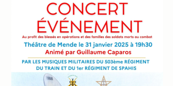 Image d'illustration de Concert événement caritatif des musiques militaires