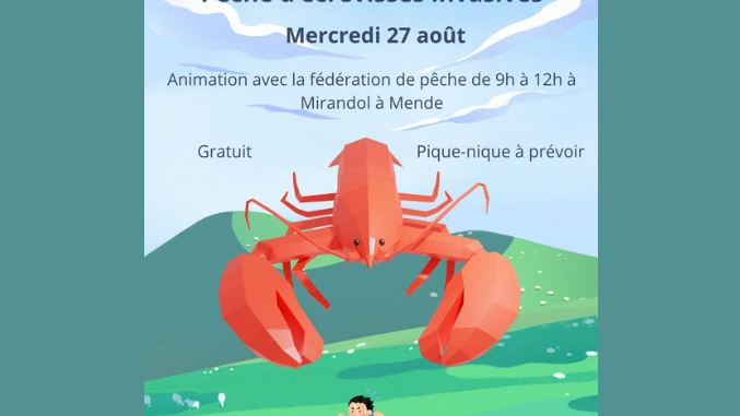 Image d'illustration de la page Maison Solidaire : sortie nature