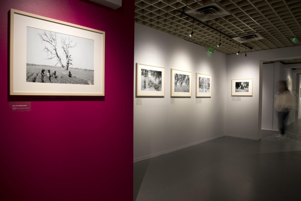 Image d'illustration de GAUTHIER BRUEL & ROLAND LESLUIN : « ABSTRACTION ET FIGURATION »