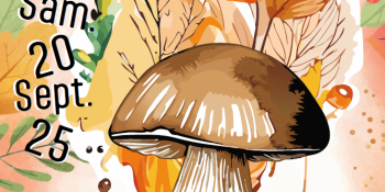 Image d'illustration de Toqués du Cèpe 2025