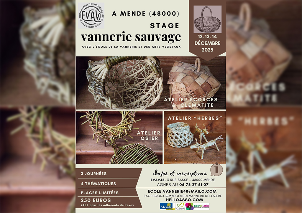 Image d'illustration de STAGE DE VANNERIE : VANNERIE SAUVAGE