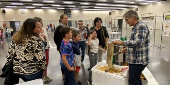 Image d'illustration de Les écoliers participent à la fête de l’abeille