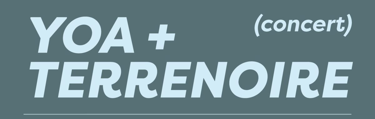 Image d'illustration de la page Concert YOA + TERRENOIRE