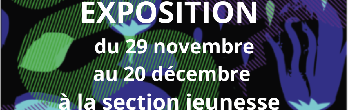 Image d'illustration de la page Médiathèque Lamartine : expositions