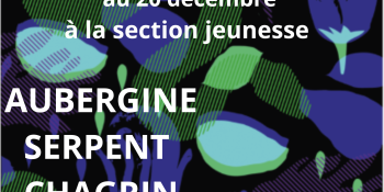 Image d'illustration de Médiathèque Lamartine : expositions