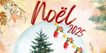 Image d'illustration de Découvrez le guide des animations de Noël