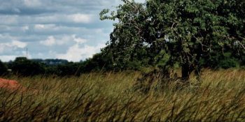 Image d'illustration de Médiathèque Lamartine : Printemps des Poètes 2026